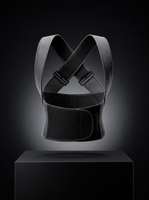 Alighora ergonomic posture corrector pro